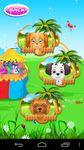 Imagem 1 do Dog Pet Wash