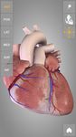 Heart 3D Anatomy Lite ảnh số 1