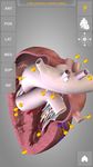 Heart 3D Anatomy Lite ảnh số 2