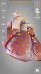 Heart 3D Anatomy Lite ảnh số 4