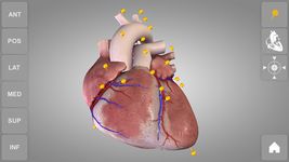 Heart 3D Anatomy Lite ảnh số 5