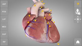 Heart 3D Anatomy Lite ảnh số 11