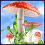 Mushroom HD Live Wallpaper apk icon