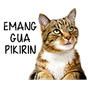 Stiker Kucing Lucu WAStickerApps APK