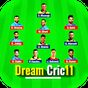 Dream Cric11 for Dream11 team prediction news tips apk icon