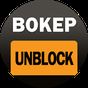 VPN Unblock Bokep Access apk icon