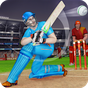 County Cricket League 2019: World Real Sports Game APK