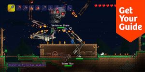 Guide for Terraria image 1