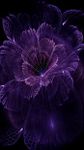 Картинка 7 HD 3D Flower Wallpapers