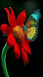 HD 3D Flower Wallpapers image 13