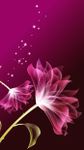 HD 3D Flower Wallpapers image 15