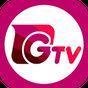 Gtv Live Cricket apk icon
