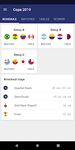 Imagem  do Copa América 2019 App Futebol Resultados
