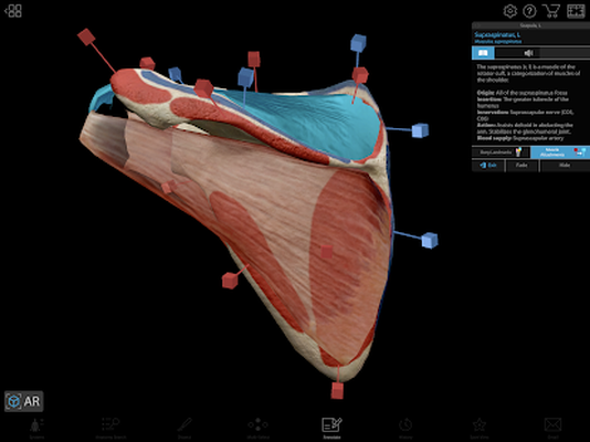 human anatomy atlas 2017