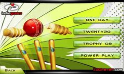 Cricket T20 Fever 3D ảnh số 3