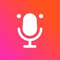 Koca Voice Changer - Funny Voice Effects apk icon