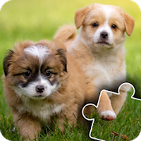 Puzzles Chien Mignon Chat 2 Android Télécharger Puzzles