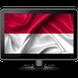 TV Indonesia 2019 APK