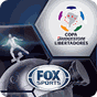 Copa Bridgestone Libertadores apk icono