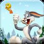 Bunny Run: Dash Toons Rabbit APK