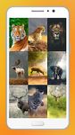Картинка  Animal Wallpapers