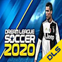 Icône apk Guide Dream League Soccer