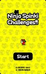 Ninja Spinki Challenges!! captura de pantalla apk 4