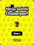 Скриншот 9 APK-версии Ninja Spinki Challenges!!