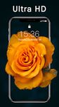 Live Wallpaper：Dynamic image 1