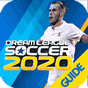 Hint For Dream Winner League Soccer 2020  guide APK
