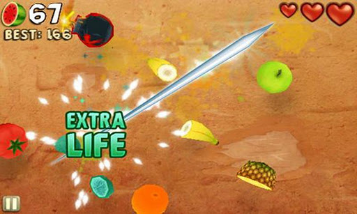 Gato brinca com Fruit Ninja no iPad