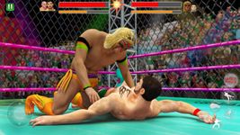 cage catch révolution: échelle match combat image 2