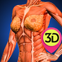 Female Anatomy : Woman Body Visualizer APK