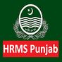 HRMS Punjab APK