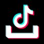 Video Downloader for TikTok apk icon