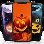 Halloween Wallpaper APK