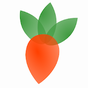 Veggie Garden Planner icon