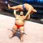 Sumo Fighting 2020: Real Wrestling 3D Fights