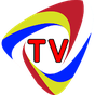 Tv RO online apk icon