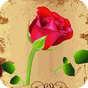 Biểu tượng apk Hoa hồng Live Wallpaper