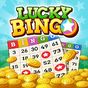 Biểu tượng apk Lucky Bingo – Free Bingo, Win Rewards