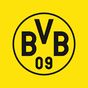 Icoană BVB 09