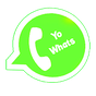 YO Whats plus V14 2020 APK