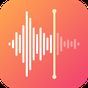 Voice Recorder & Voice Memos - Voice Recording App Simgesi