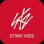 Stray Kids Light Stick