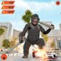 Biểu tượng Gorilla City Rampage :Animal Attack Game Free
