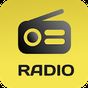 Radio FM - Stații de radio în direct