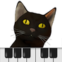 Biểu tượng Cat Piano Keyboard play