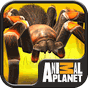 Real Scary Spiders APK