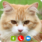 Ikon apk Cat Video Call/Fake Video Call
